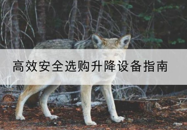 增城升降货梯厂家推荐-*安全选购升降设备指南