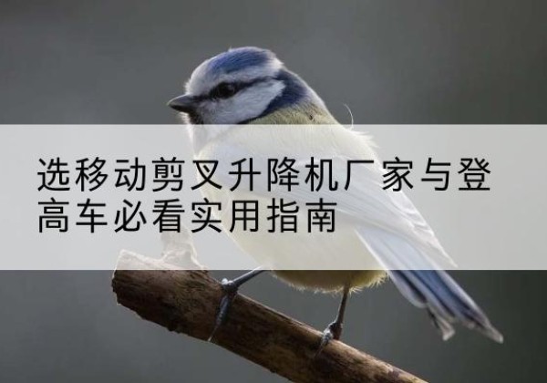 增城电动升降机厂家-选移动剪叉升降机厂家与登高车必看实用指南