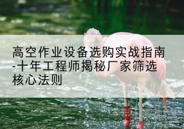 增城剪叉式升降机厂家-高空作业设备选购实战指南-十年工程师揭秘厂家筛选核心法则